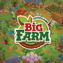 Big Farm