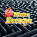 Maze Escape